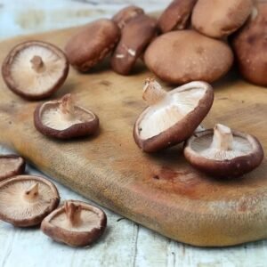 Shiitake Mushroom