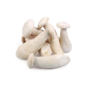 Milky Mushroom